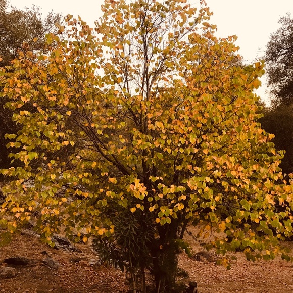 Meet your Posher, Maritza - Picture 1 of 1